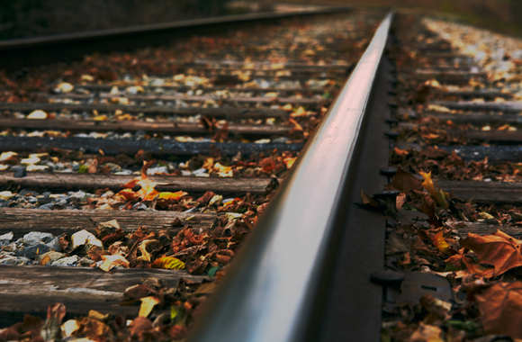 Tourism and Coronavirus