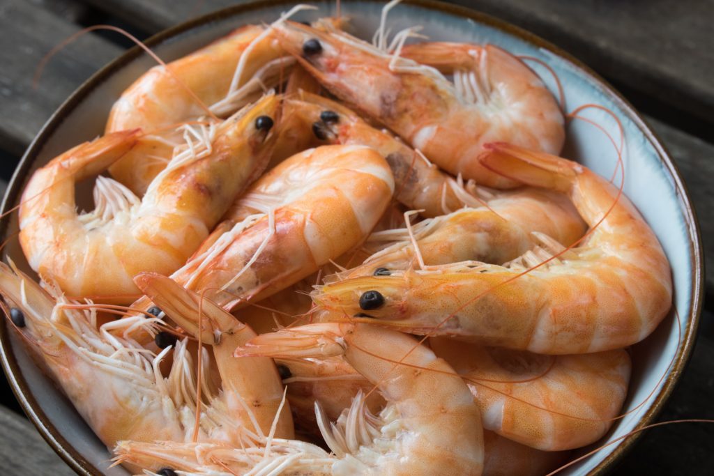 shrimps-ecuador
